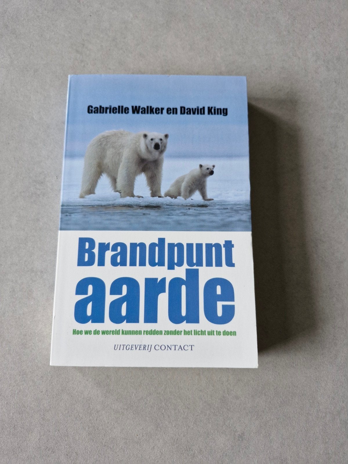 Brandpunt aarde - Gabrielle Walker en David King, Enlèvement ou Envoi, Gabrielle Walker en David King, Sciences naturelles