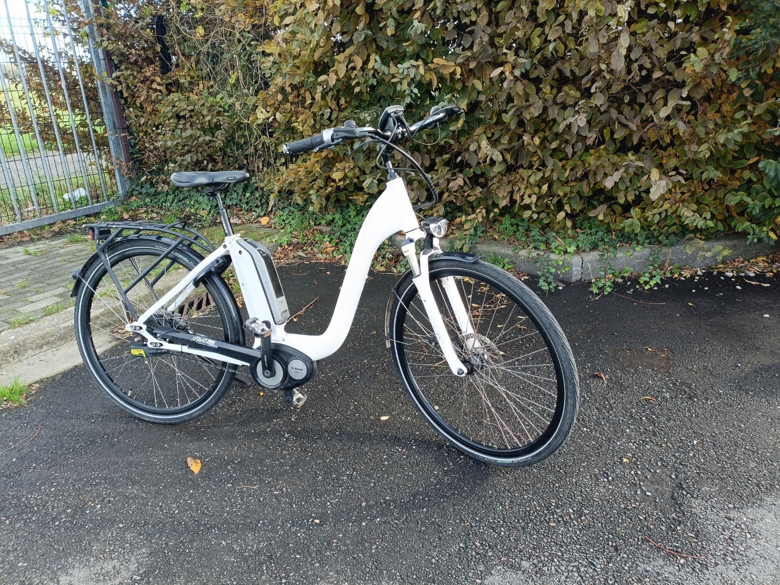 elektrische damesfiets, Ophalen of Verzenden