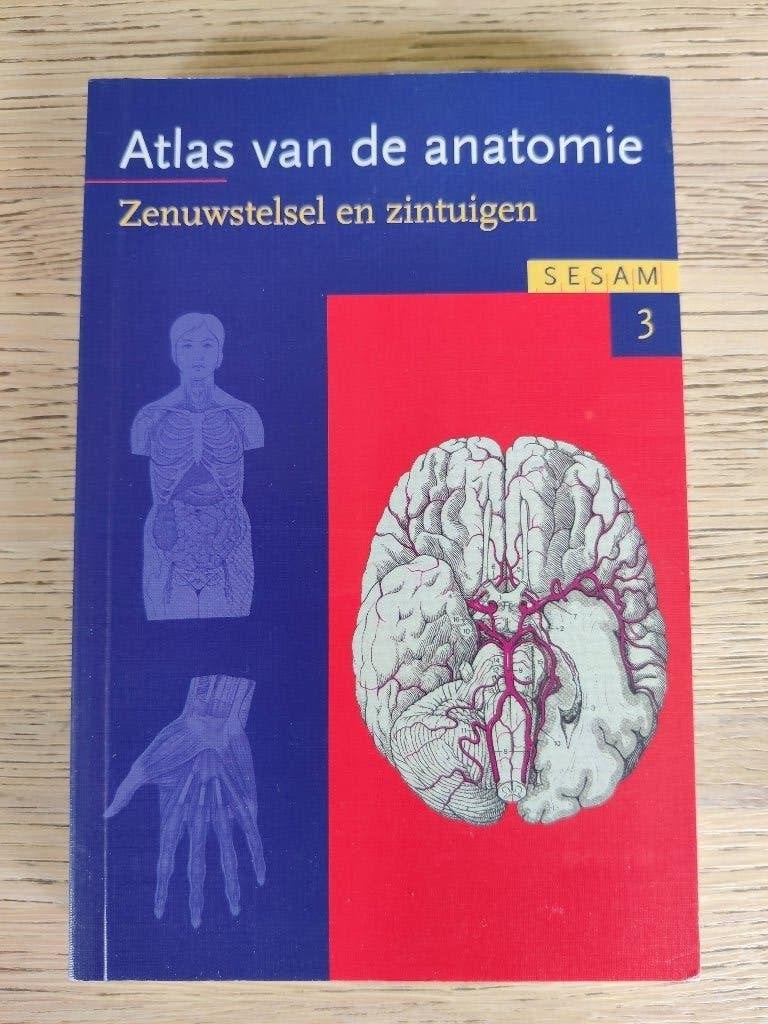 Sesam atlas van de anatomie (3) - zenuwstelsel en zintuigen, Ophalen, Gelezen, Hoger Onderwijs