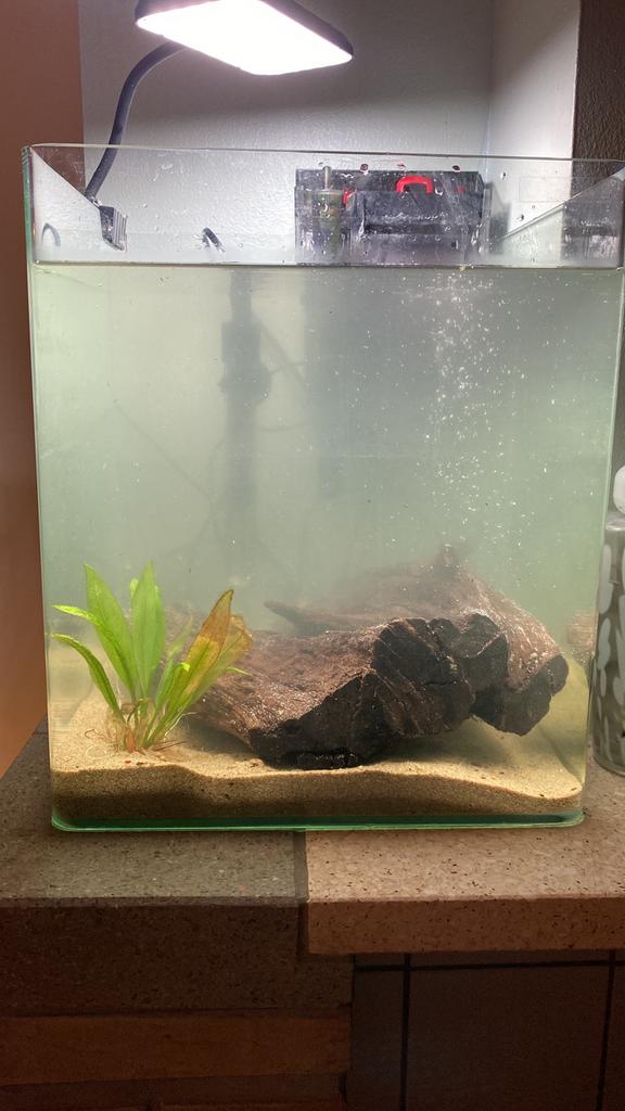 aquarium te koop 30 l, Dieren en Toebehoren, Ophalen, Zo goed als nieuw, Verlichting