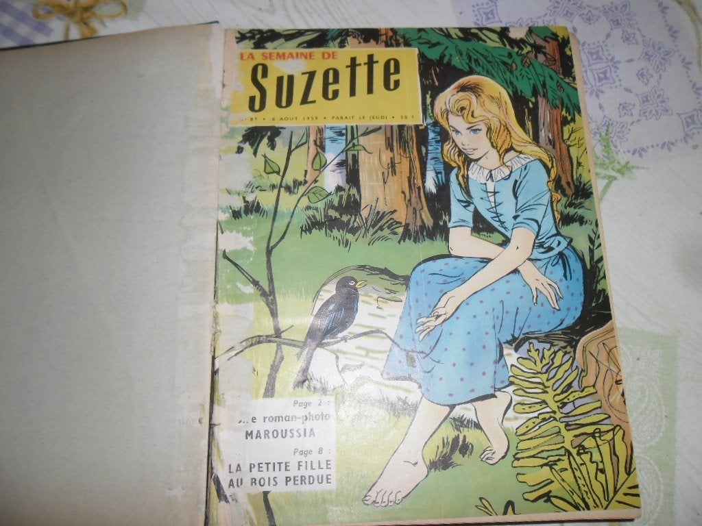 stripverhalen van +- 1972 in een beschadig album 3 cm dik, Boeken, Ophalen