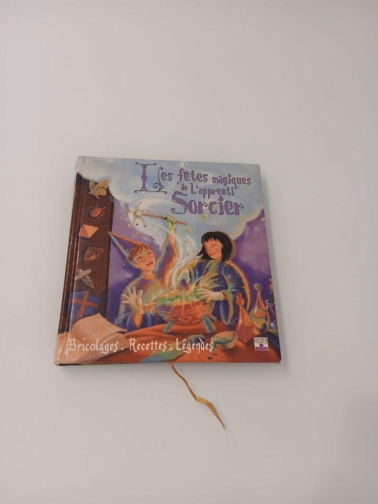 Boek „" De magische feestdagen van de tovenaarsleer" "”, Boeken, Boekenweekgeschenken, Ophalen of Verzenden, Zo goed als nieuw