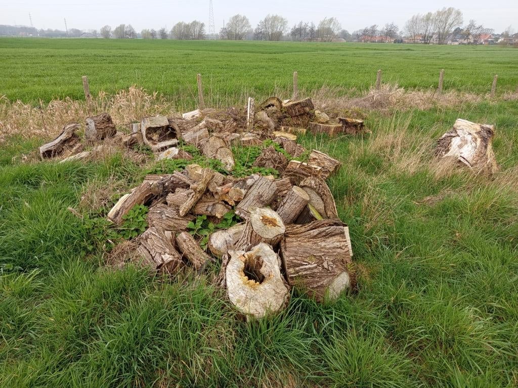 brandhout, Tuin en Terras, Brandhout, Ophalen, Overige houtsoorten, Blokken
