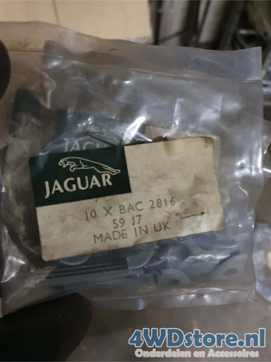 Glass Clip 10x Jaguar XJ6 - XJ12 - BAC2816, -, -, Nieuw, Ophalen of Verzenden