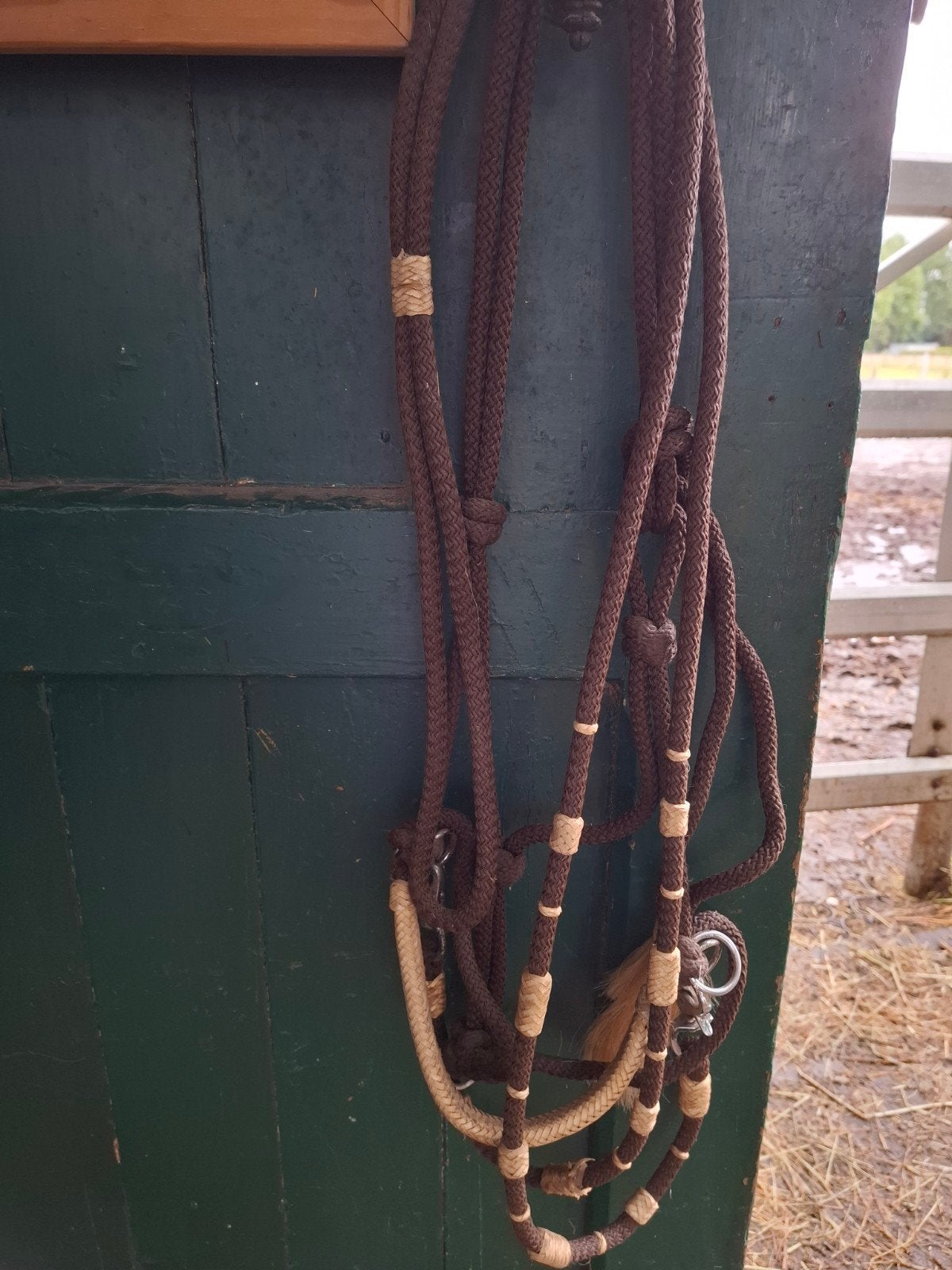 sidepull, Dieren en Toebehoren, Ophalen, Cob
