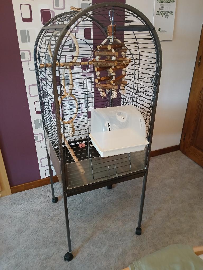 cage à oiseaux perroquet, Enlèvement, Cage à oiseaux