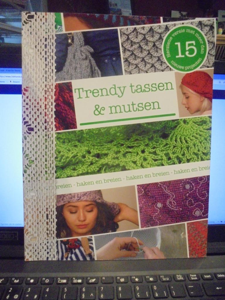 Trendy tassen en mutsen, Boeken, Ophalen of Verzenden, Zo goed als nieuw, Breien en Haken