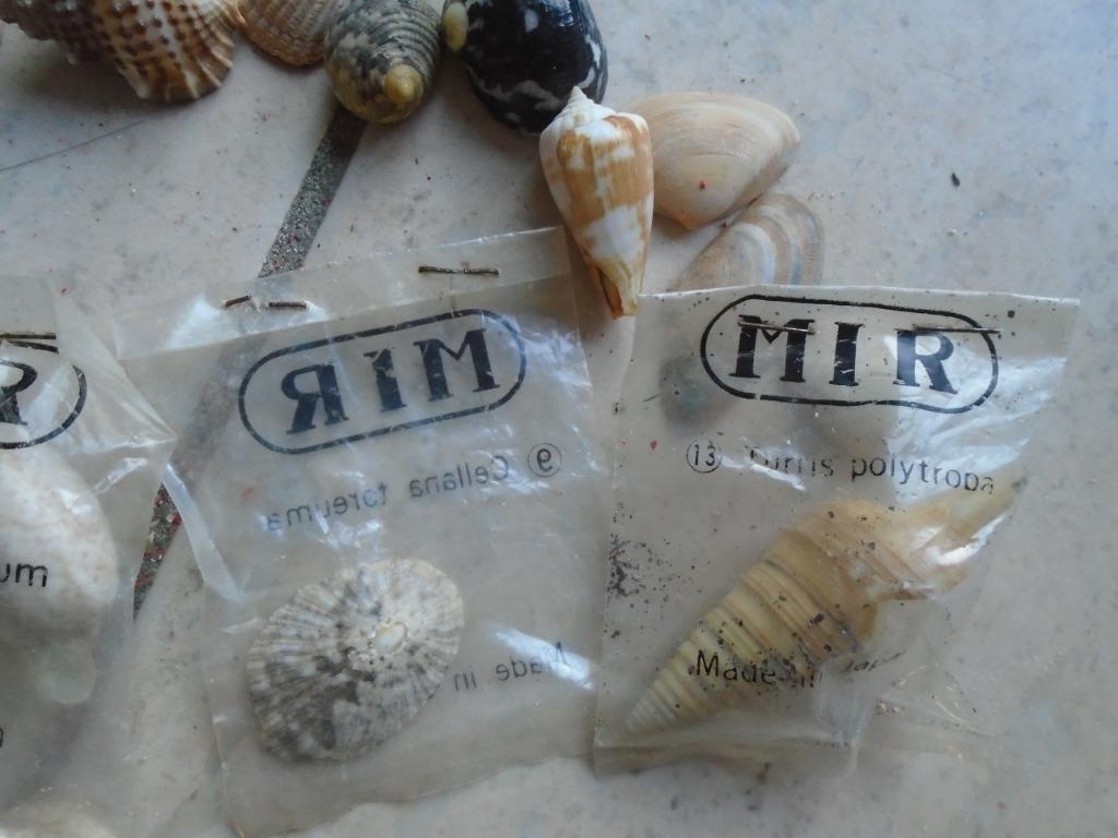 PARTIJ: SCHELPDIEREN „MIR"+STENEN + FRUIT + MACRAMÉ, Ophalen of Verzenden