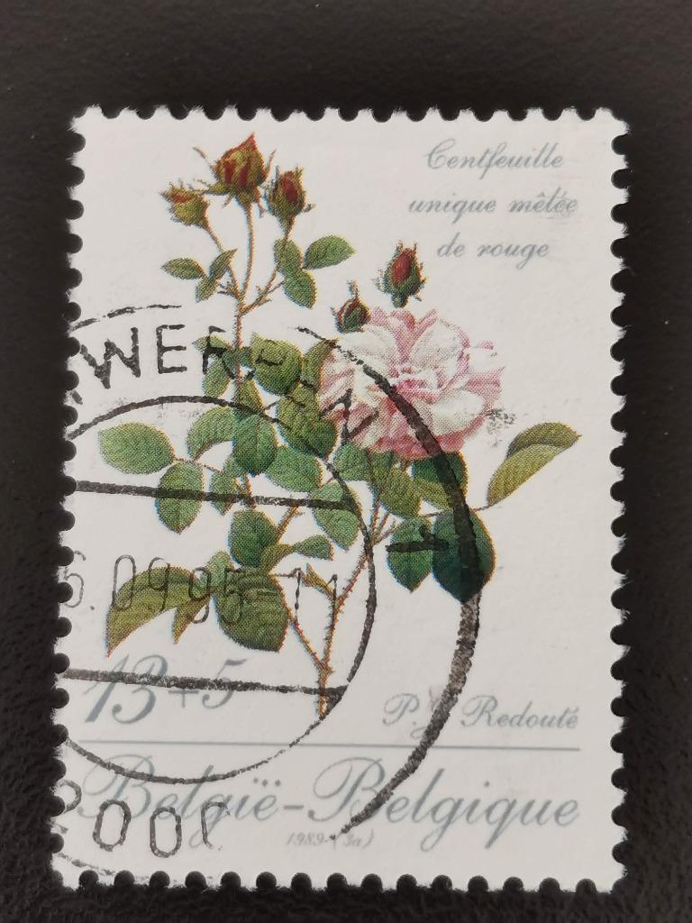 Belgique 1989 - rose par Redouté - timbre avec surcharge, Enlèvement ou Envoi, Affranchi, Art