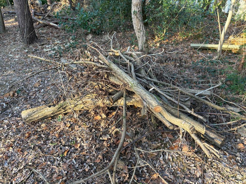 Brandhout, 3 à 6 m³, Enlèvement, Autres essences de bois