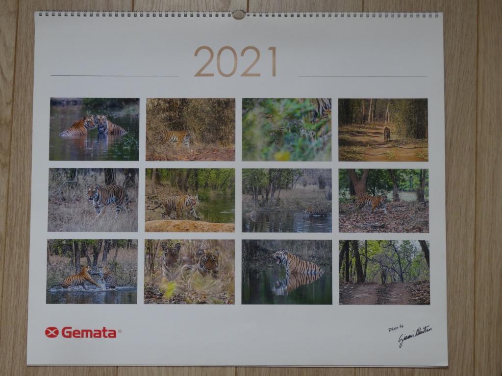 Calendrier tigres 55x48cm, Divers, Calendriers, Enlèvement, Calendrier mensuel, Comme neuf