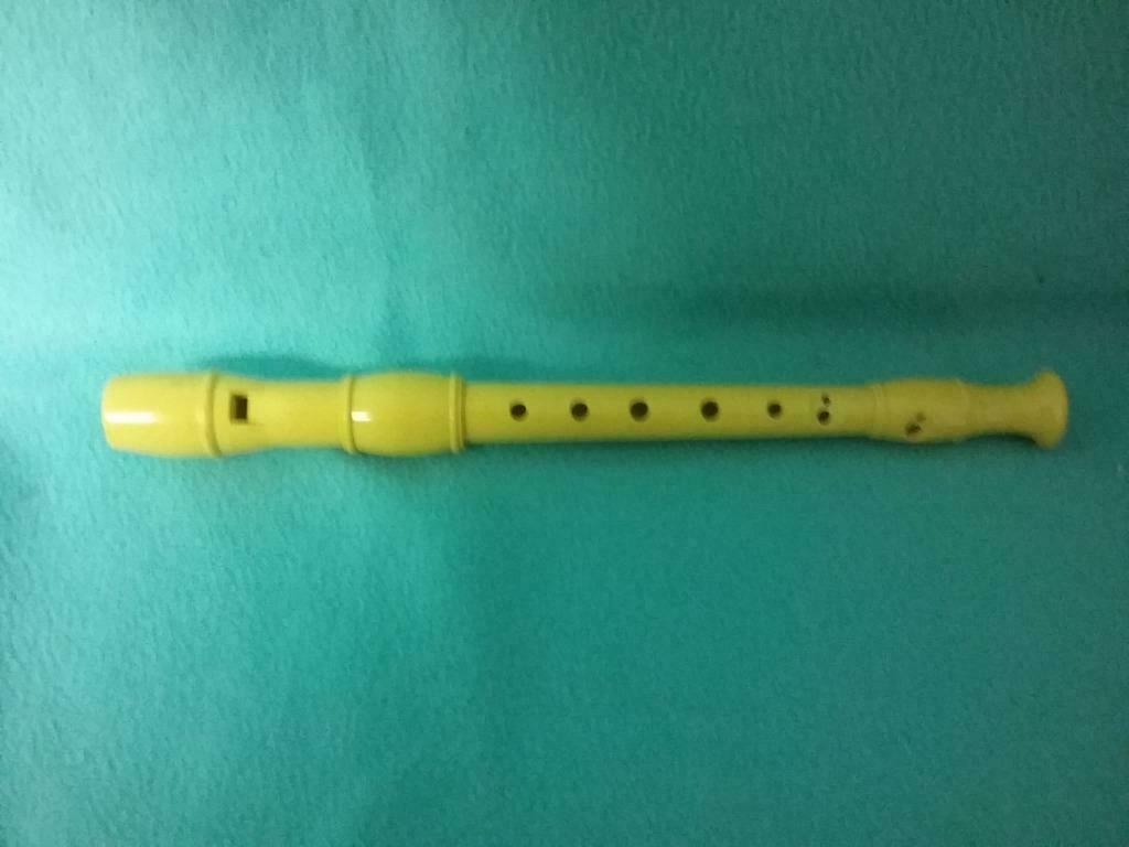 Blokfluit, Musique & Instruments, Instruments à vent | Flûtes à bec, Enlèvement ou Envoi, Utilisé, Autres types