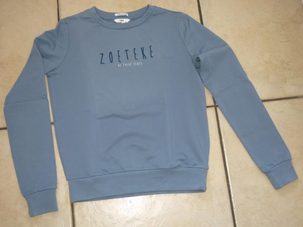 Een sweater truitje Zoeteke, JBC, maat 170, Kinderen en Baby's, Kinderkleding | Maat 170, Ophalen, Gebruikt, Meisje, Trui of Vest