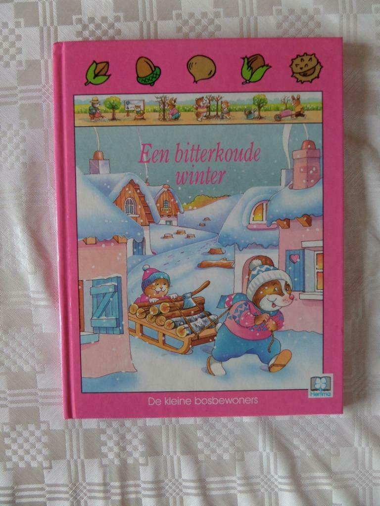 Kinderboek 'Een bitterkoude winter', Ophalen of Verzenden, Zo goed als nieuw, Uitgeverij Hemma, Fictie algemeen