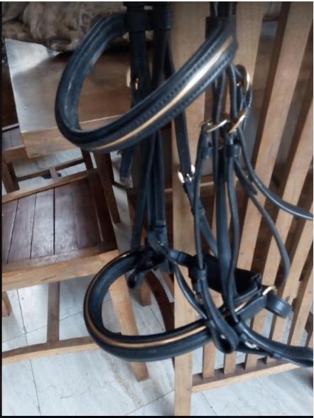 bridon kieffer neuf, Enlèvement ou Envoi, Neuf, Dressage