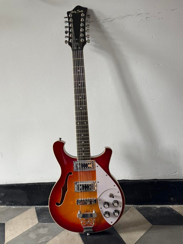 12 string, Muziek en Instrumenten, Ophalen, Zo goed als nieuw