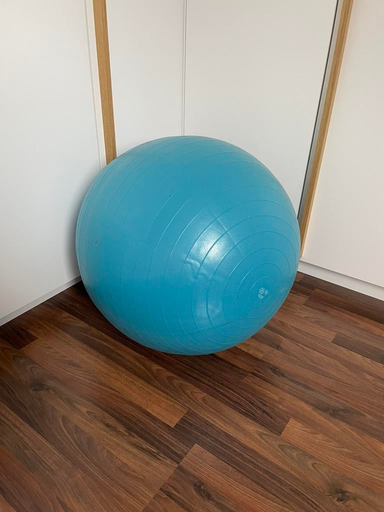 Fitnessbal, Sport en Fitness, Ophalen, Zo goed als nieuw