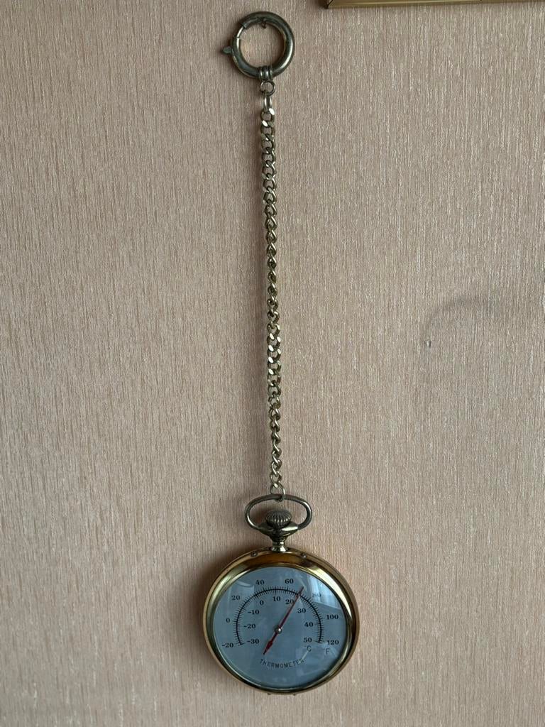 vintage thermometer, Ophalen of Verzenden, Gebruikt