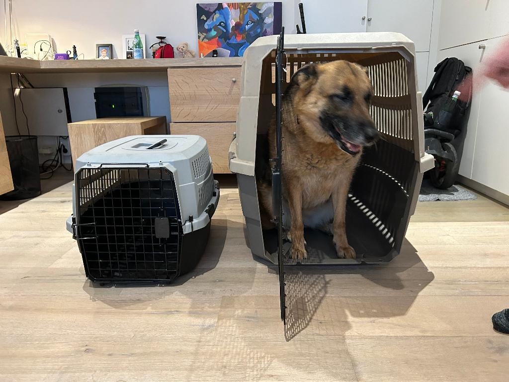 kooien (size hond <8kg + <45kg) / mandje (size hond <8kg), Ophalen, Gebruikt