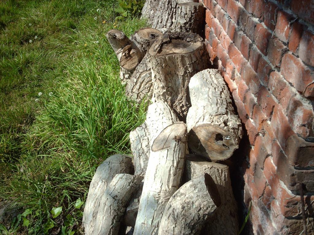 notelaarhoutblokken te koop + volledige stam van de notelaar, Tuin en Terras, Ophalen of Verzenden, Nieuw