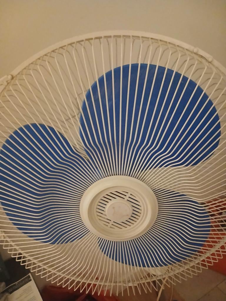 Windmolen, Tuin en Terras, Windwijzers en Windmolens, Ophalen