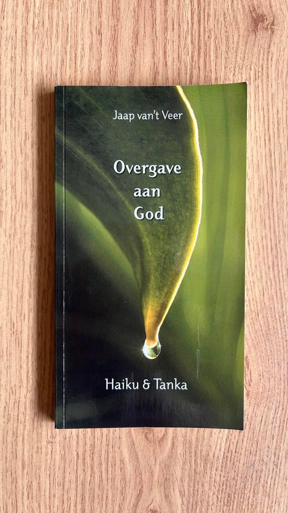 J. van 't Veer - Overgave aan God, Ophalen of Verzenden, Zo goed als nieuw, J. van 't Veer