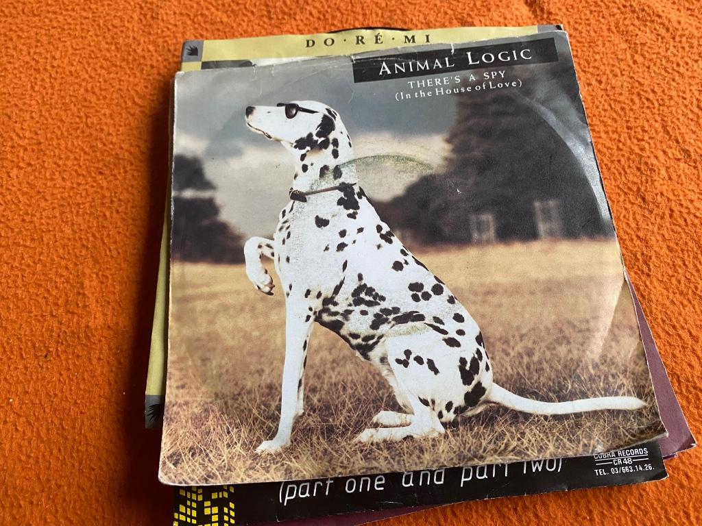Animal logic, Enlèvement ou Envoi