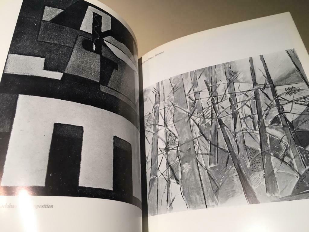 La Jeune Peinture Belge 265pag Alechinsky Van Anderlecht Ant, Ophalen of Verzenden, Zo goed als nieuw, Schilder- en Tekenkunst