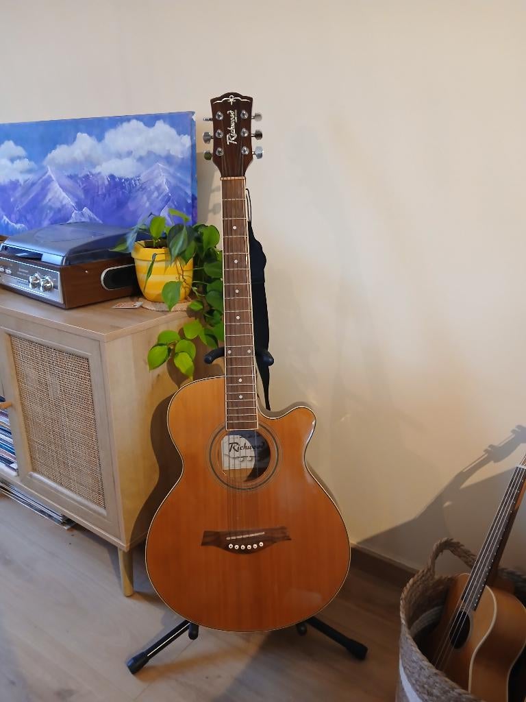 Gitaar richwood + staander, zak, capo, plektrum en riem, Muziek en Instrumenten, Ophalen, Zo goed als nieuw, Klassieke of Spaanse gitaar