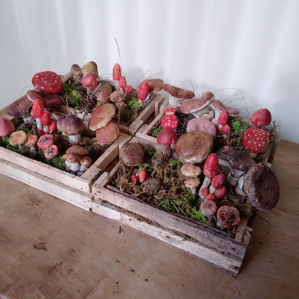 Papier-mâche paddenstoelen in houten kist, Verzenden