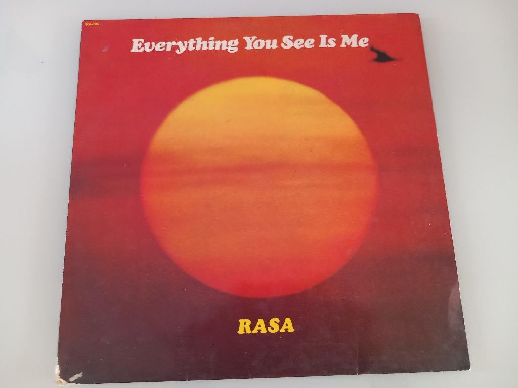 LP vinyle Rasa Everything you see is more Jazz Funk Soul, Enlèvement ou Envoi, 12 pouces, Jazz
