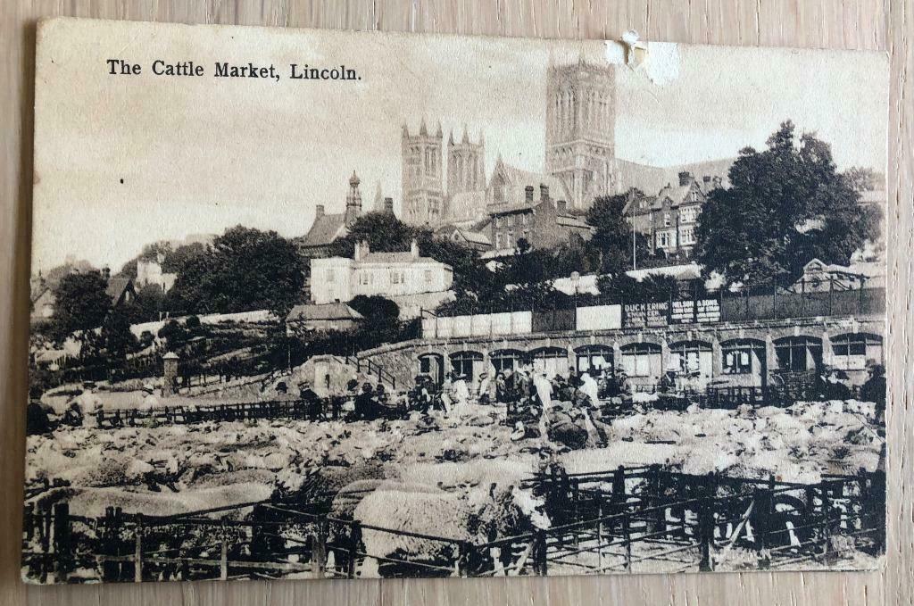 The Cattle Market, Lincoln, Ophalen of Verzenden, Voor 1920, Ongelopen, Engeland