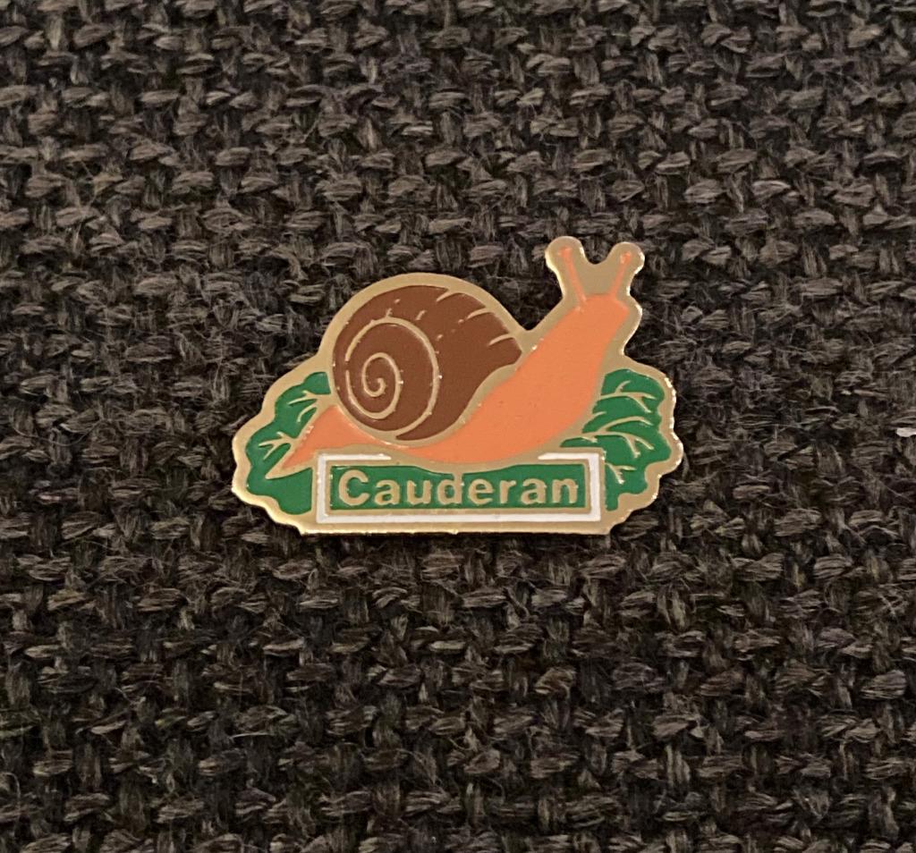 PIN - CAUDERAN - FRANCE - FRANKRIJK - SLAK - ESCARGOT, Collections, Envoi, Utilisé, Ville ou Campagne, Insigne ou Pin's