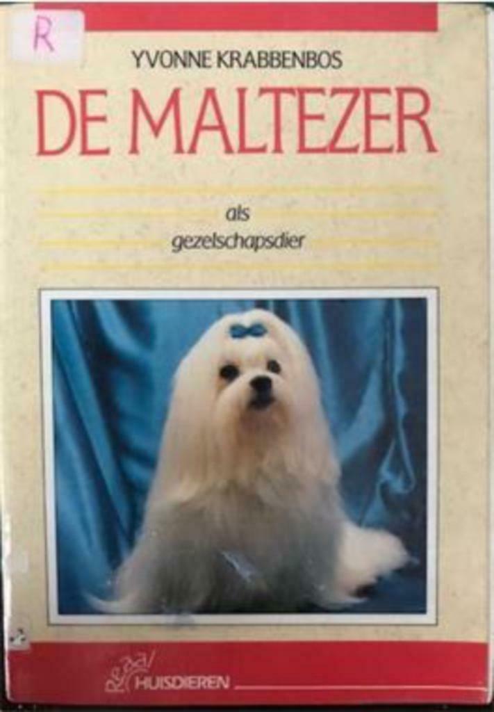 De maltezer, Livres, Animaux & Animaux domestiques, Utilisé, Chiens, Enlèvement ou Envoi