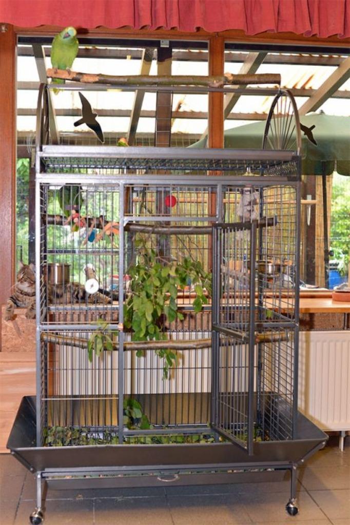 Cage perroquet ARA cage cacatoes cage amazone eclectus, Dieren en Toebehoren, Vogels | Hokken en Kooien, Nieuw, Volière, Hout