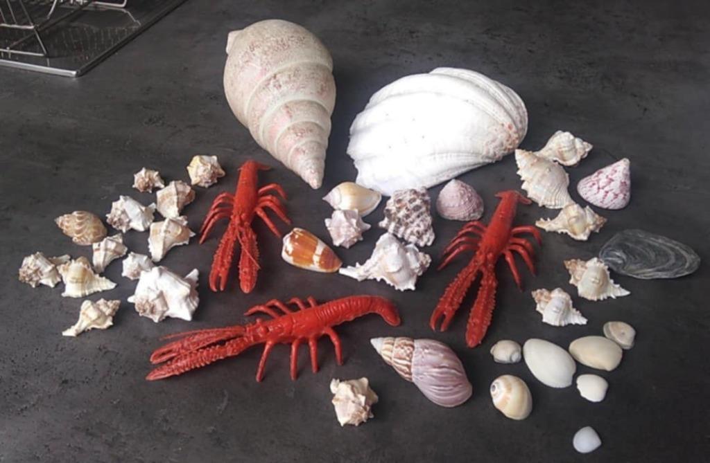 strand zee decoratie, Ophalen of Verzenden