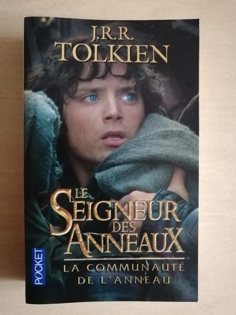 Le Seigneur des Anneaux tome 1 : la communauté de l'anneau, Enlèvement ou Envoi