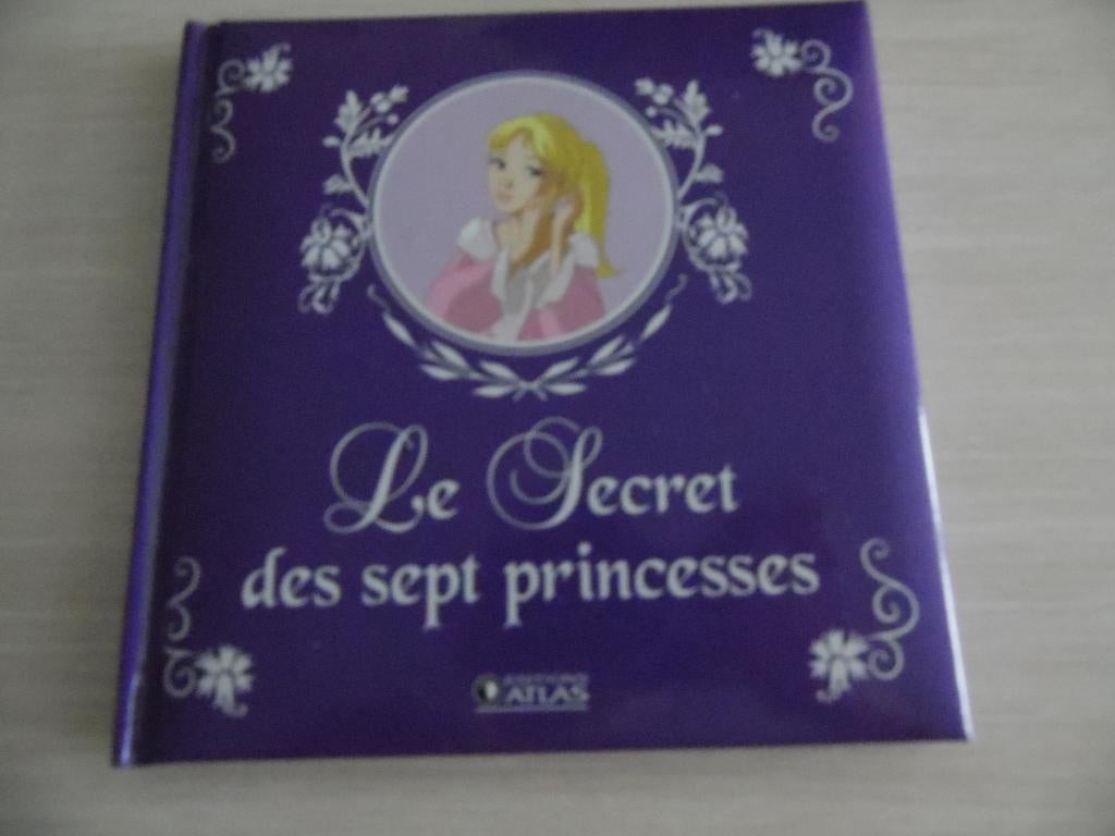 8   LIVRES    PRINCESSES, Jongen of Meisje, Ophalen of Verzenden, Zo goed als nieuw, Voorleesboek