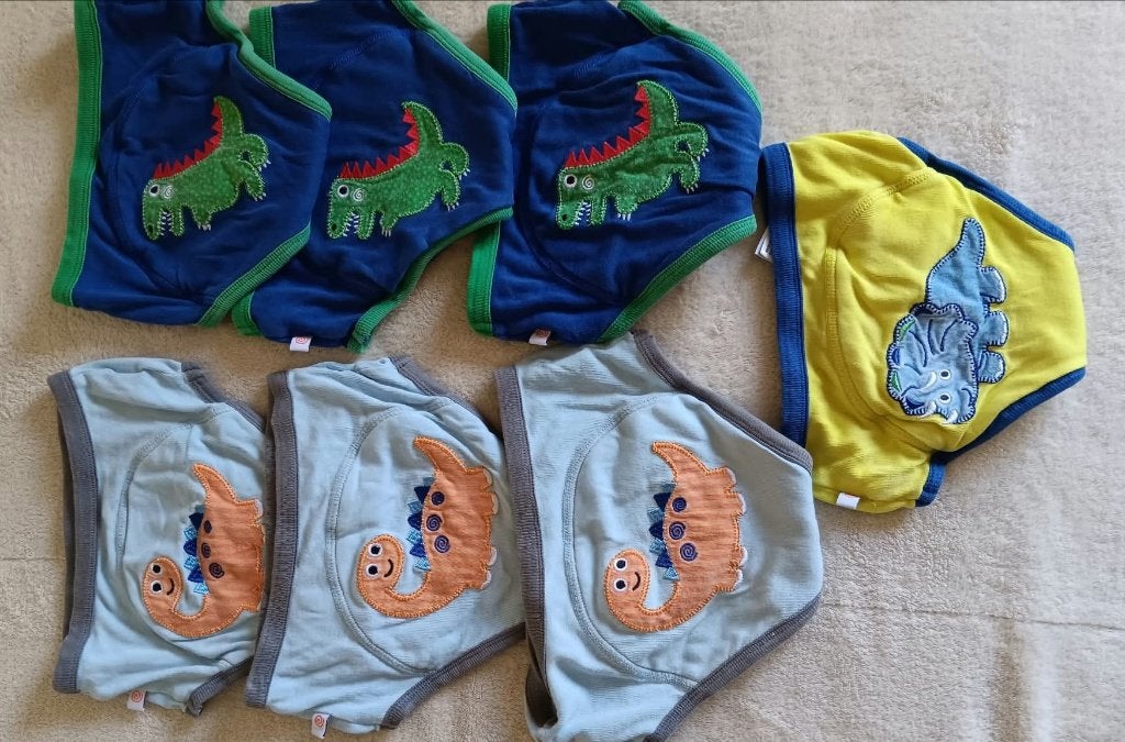 Oefenbroekjes/zindelijkheidstraining  2 à 3 jaar (7 stuks), Kinderen en Baby's, Ophalen, Gebruikt