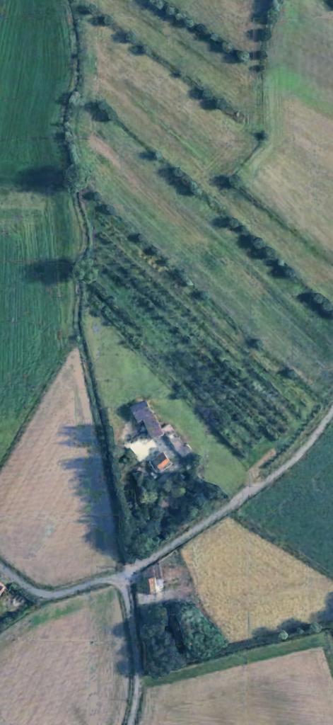 Hoeve te koop