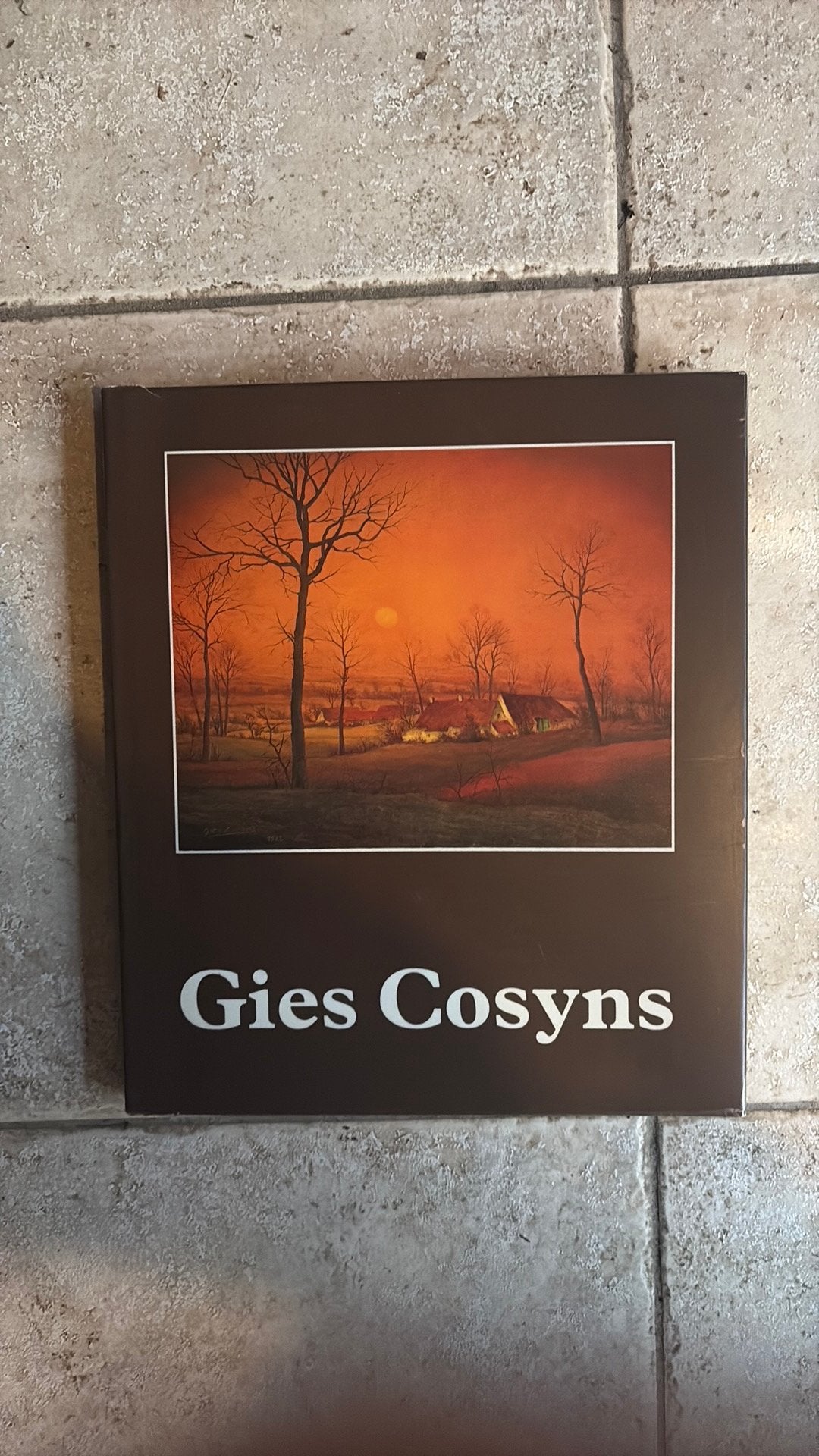 Gesigneerd boek van Gies Cosyns, Livres, Enlèvement, Comme neuf, Peinture et dessin