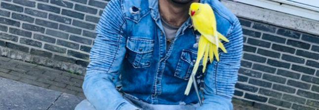 Mooie halsbandparkiet zeer tamme, Dieren en Toebehoren, Vogels | Parkieten en Papegaaien