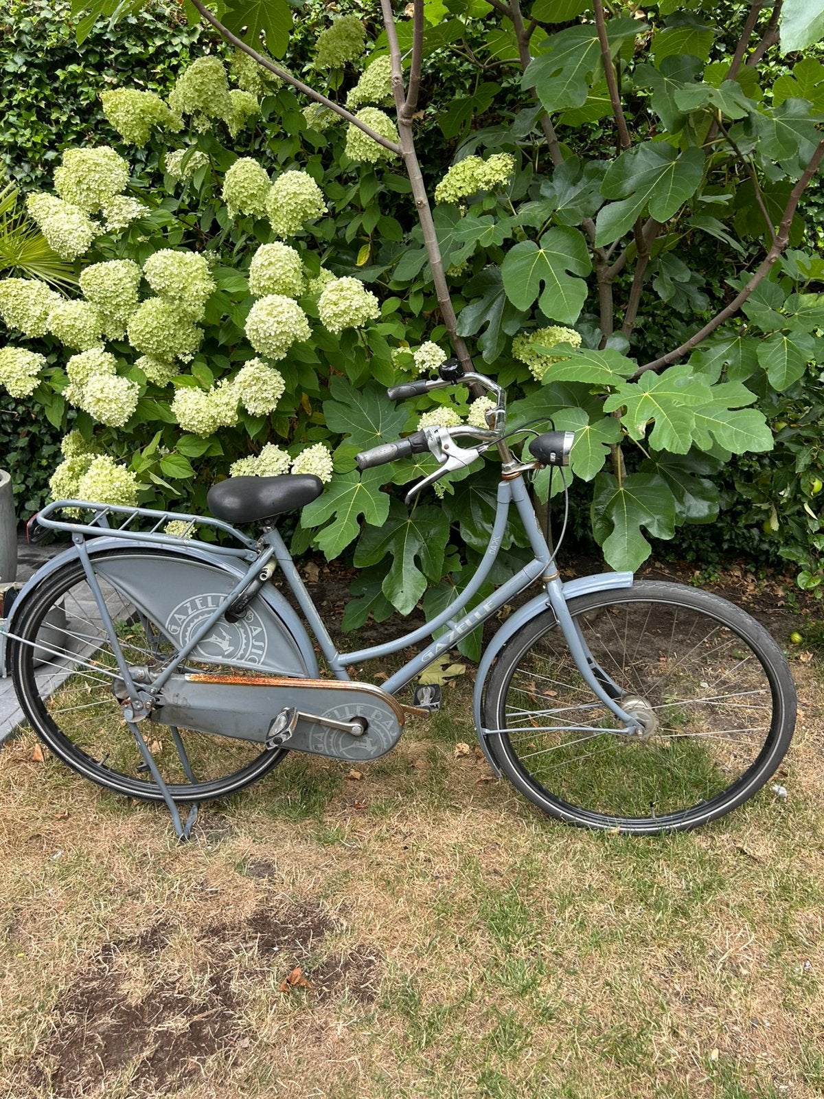 damesfiets, Ophalen, Gebruikt, Terugtraprem, Handrem