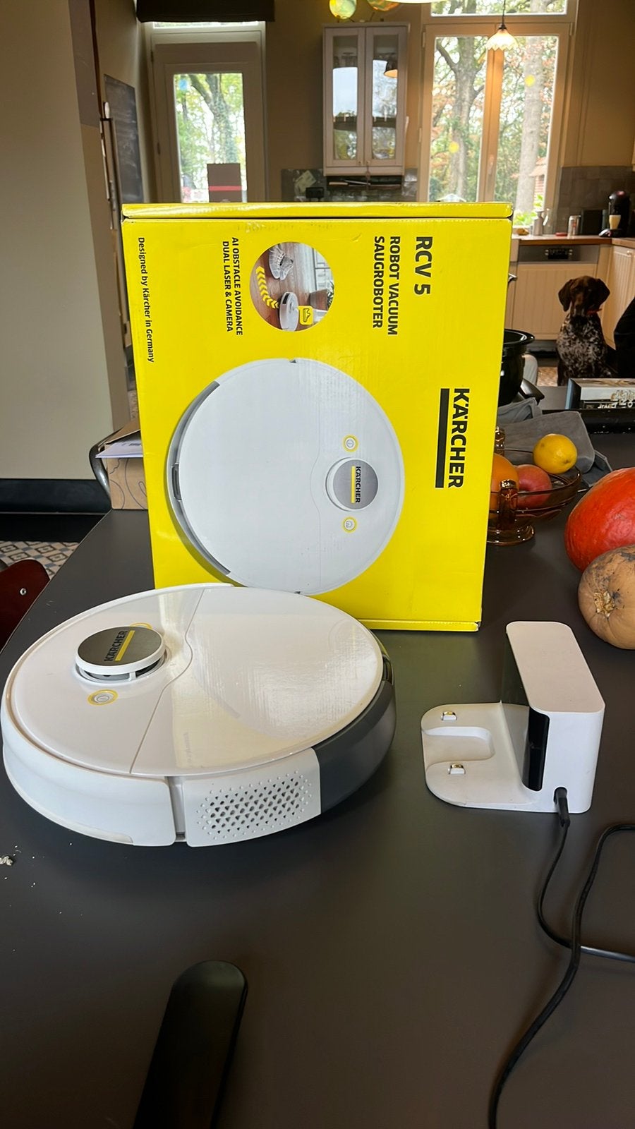 Robot stofzuiger, Ophalen of Verzenden, Zo goed als nieuw, Kärcher