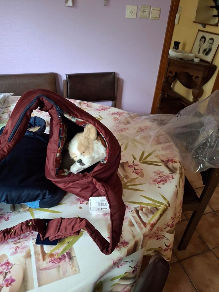 Sacs de transport bandoulières petits animeaux, Animaux & Accessoires, Enlèvement