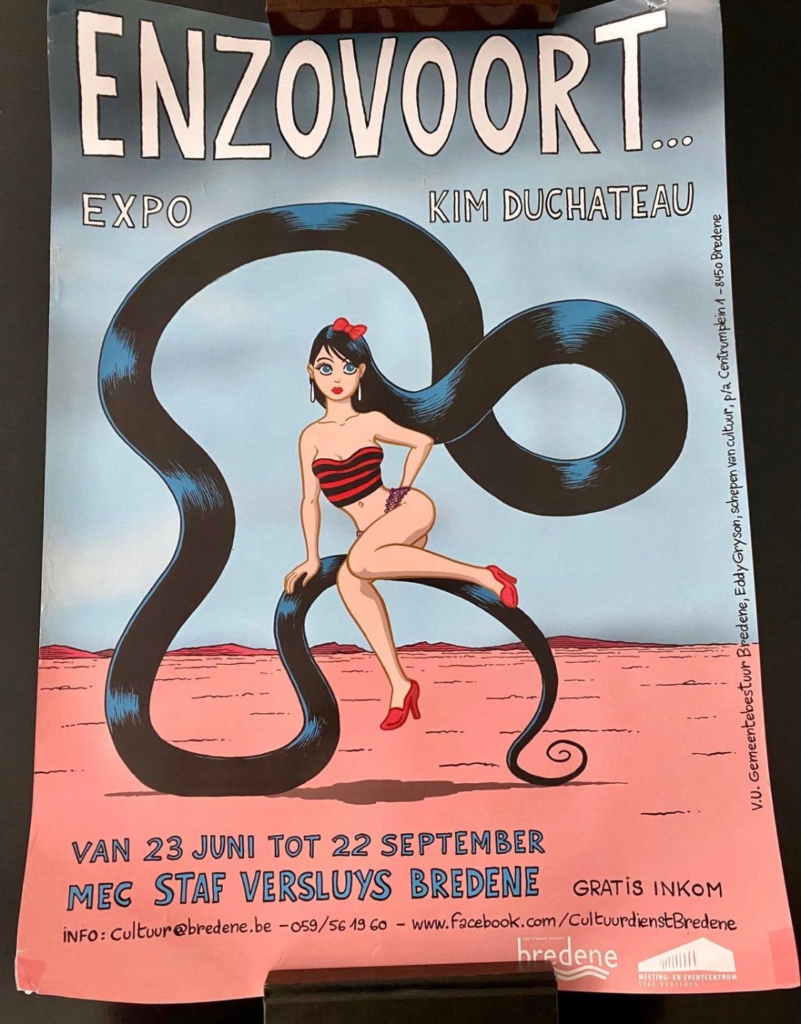 Kim Duchateau - Enzovoort - Expo - poster - strips, Ophalen of Verzenden, Zo goed als nieuw
