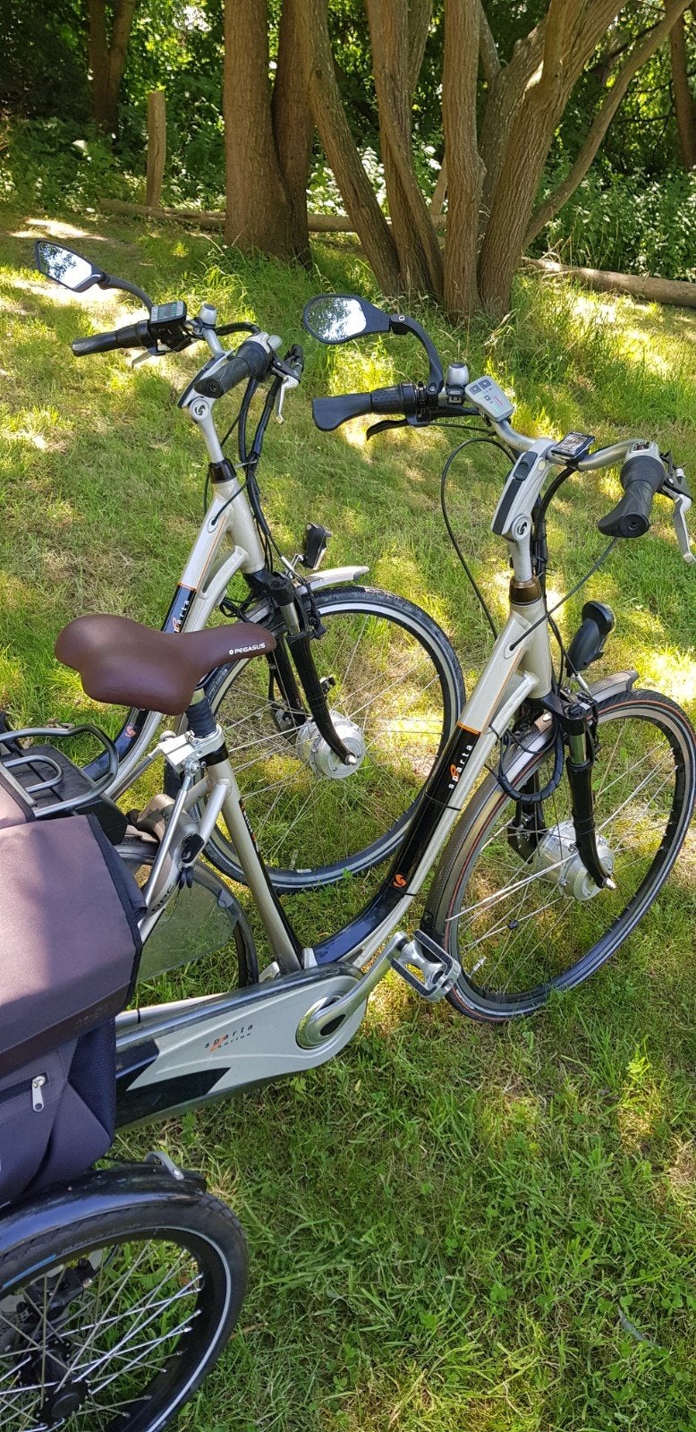 Twee Sparta elektrische fietsen Driewielers en gewoon nieuw, Fietsen en Brommers, Fietsen | Driewielfietsen, Ophalen, Zo goed als nieuw