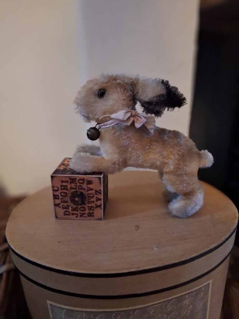 STEIFF HAASJE, Antiek en Kunst, Ophalen
