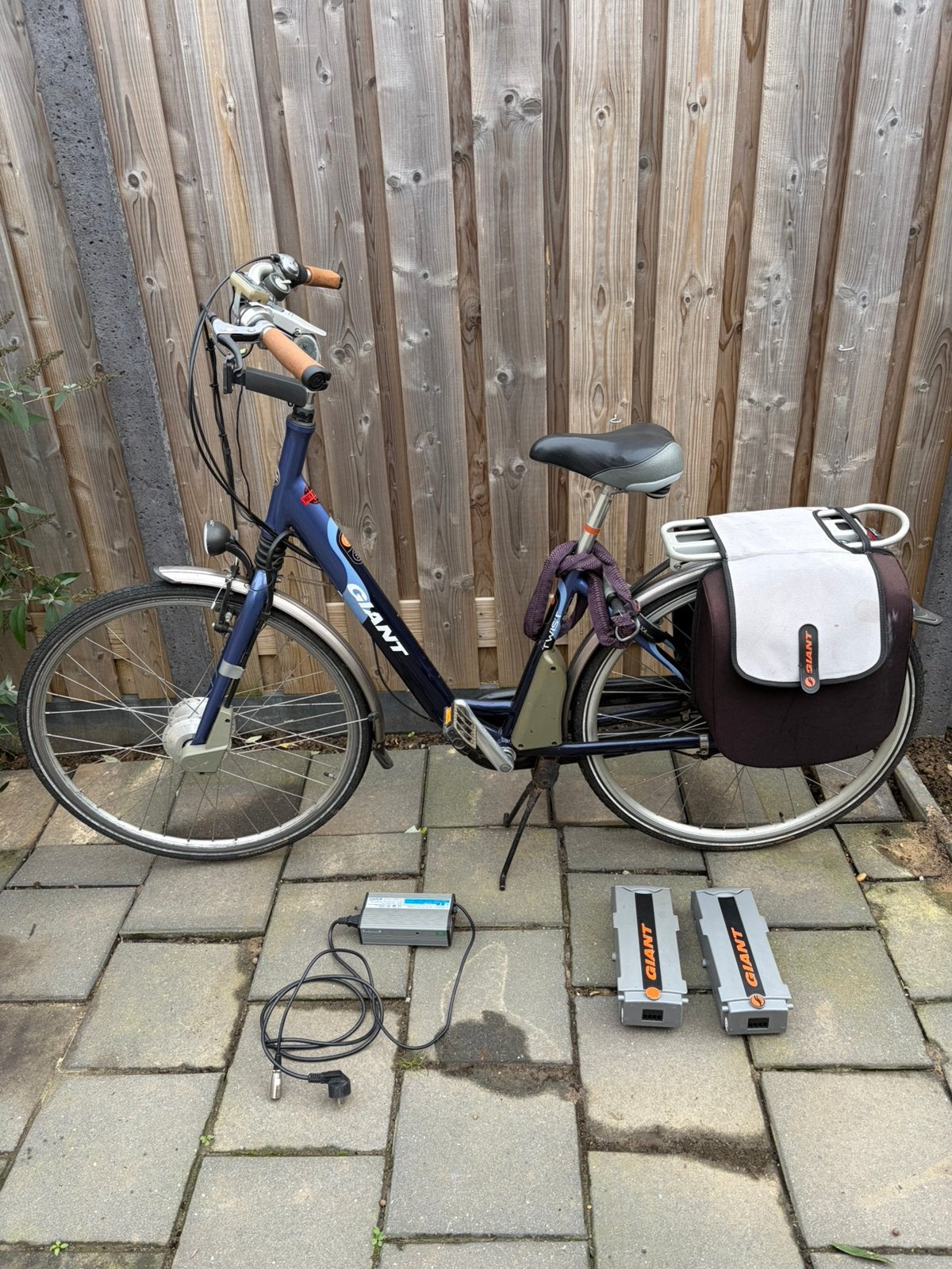 Giant twist elektrische fiets, Fietsen en Brommers, Ophalen, Zo goed als nieuw, Giant