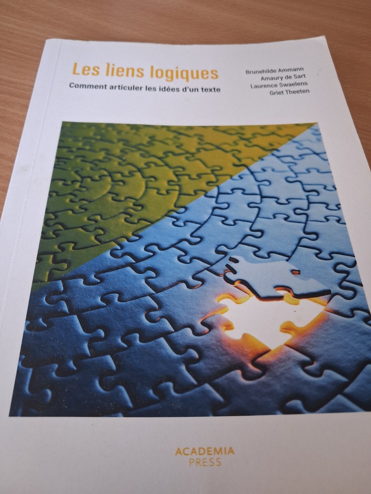 Les liens logiques, Livres, Enlèvement, Utilisé, Brunehilde Ammann, Amaury de Sart, Laurence Swaelens, Non-fiction